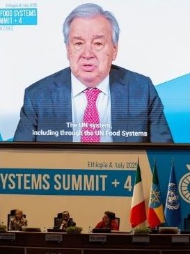sec gen
