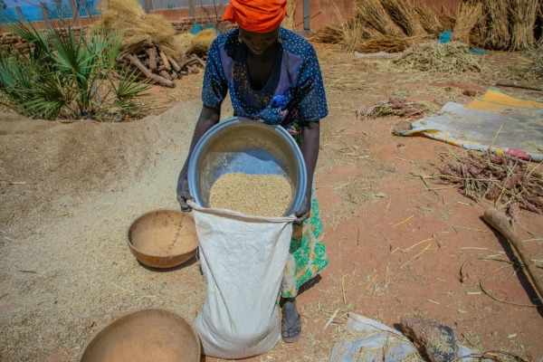 Zina Moussa a smallholder farmer and member of the Hadin kan Mata cooperative cleans her harvest of millet.