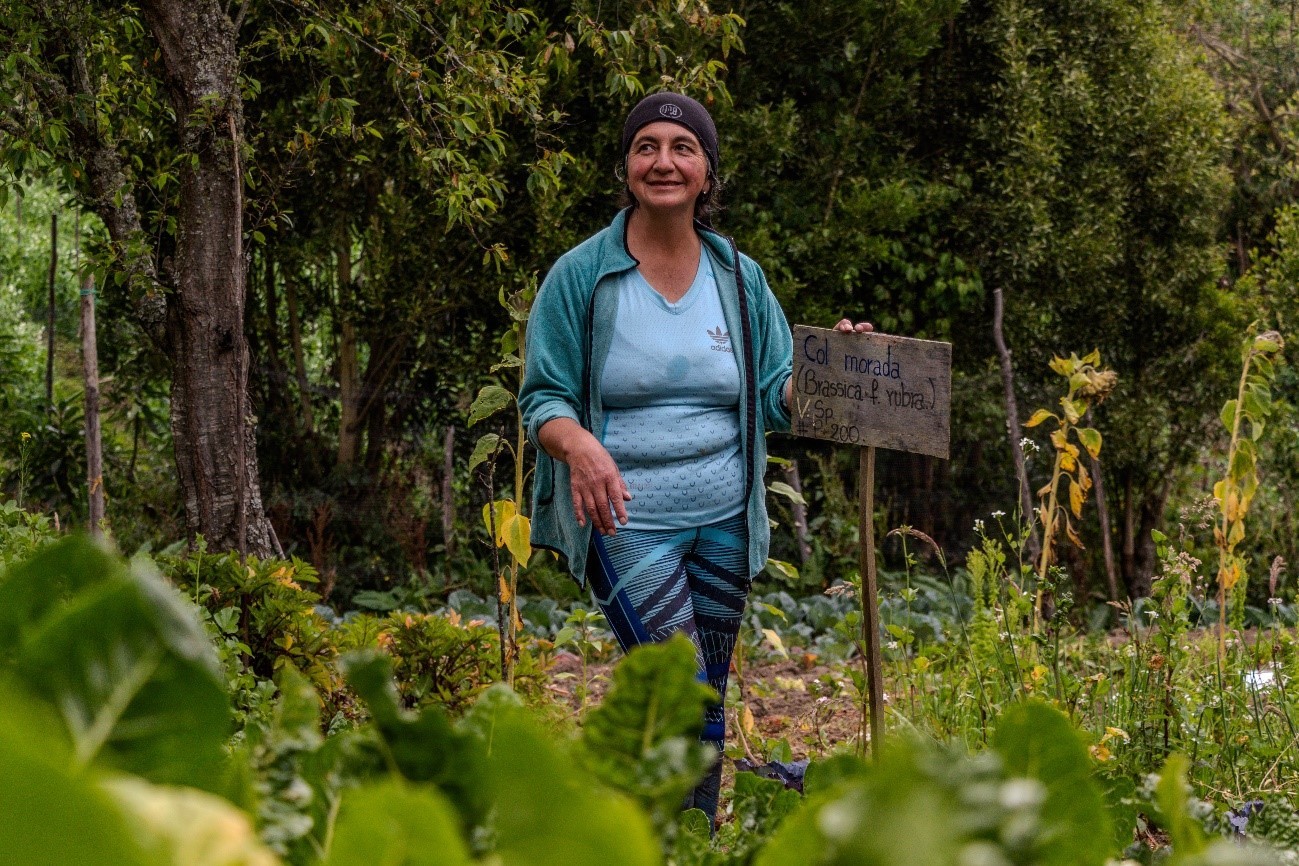 Carmen Moreno, a proud local producer, standing in her smallholding where she cultivates fresh, agroecological produce for the programme. Photo: WFP/Gonzalo Ruiz