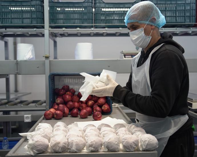 Apples are being prepared for delivery to WFP-supported schools.