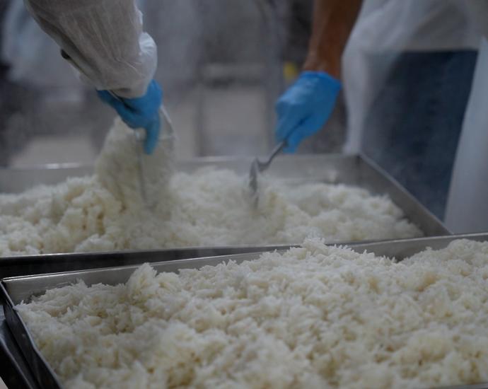 School meals in Lebanon