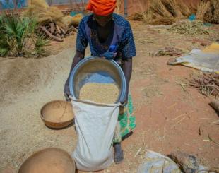 A woman filling a sack of grain. 