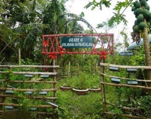 Traditional Food School Garden