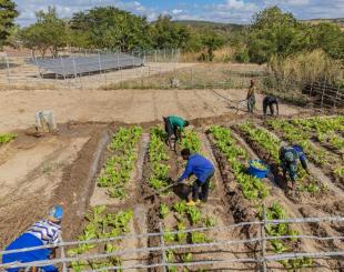 School gardens powered by solar irrigation