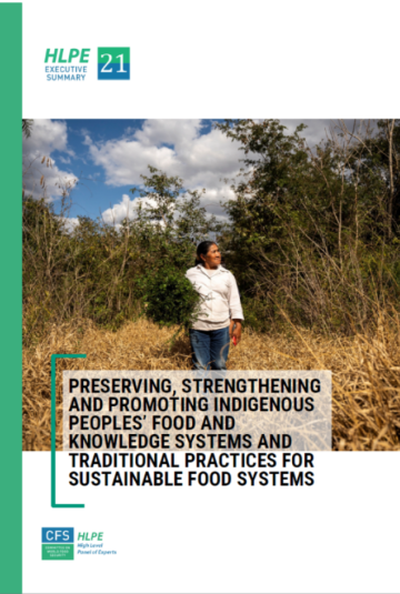 Cover image for a report 