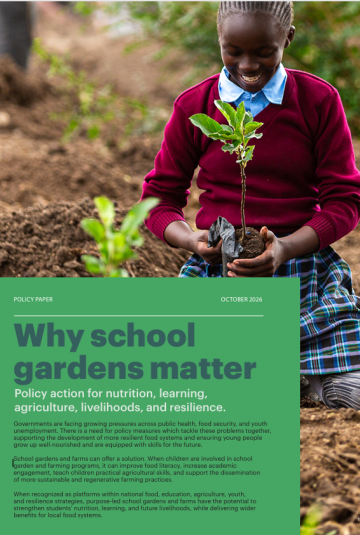Report cover page 