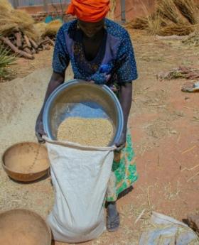 A woman filling a sack of grain. 